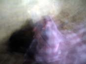 DSCN6276