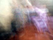 DSCN7481