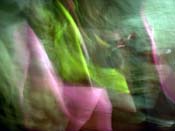 DSCN5264