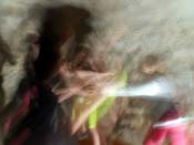 DSCN7501