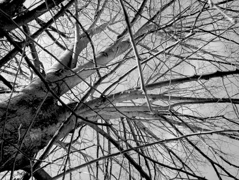 13_DSCN1698