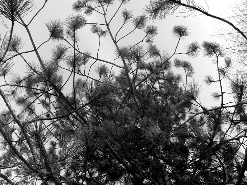 15_R0011346
