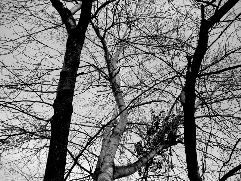 16_DSCN6685