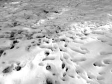 03_DSCN7927