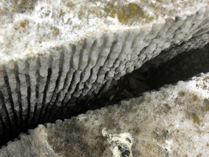 04_DSCN6860