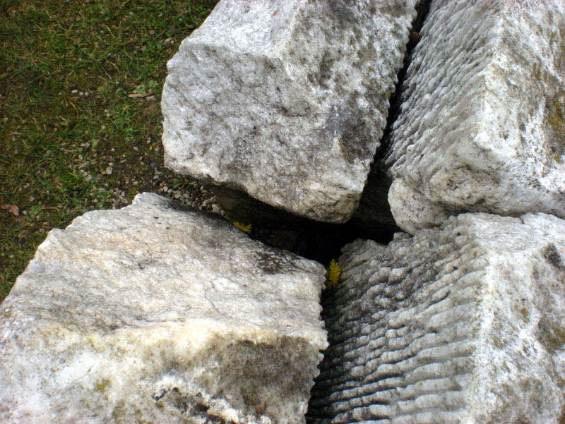 16_DSCN1634