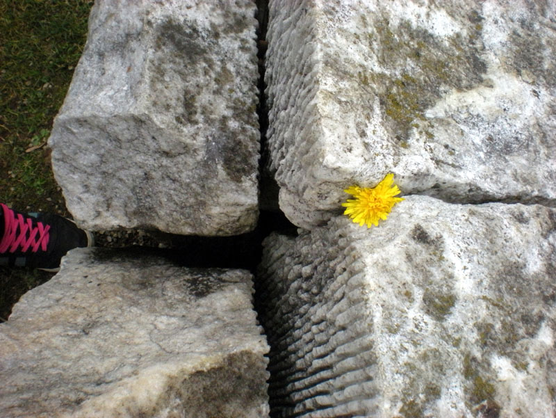 17_DSCN1635
