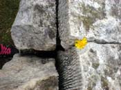 17_DSCN1635